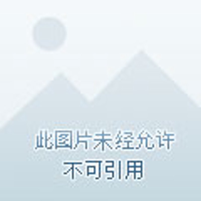 金叶物业：为您的社区注入活力